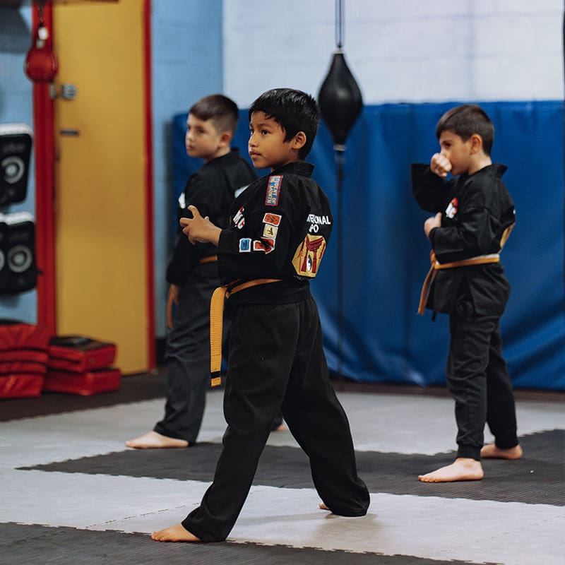 Kids Martial Arts Classes Near Me in Kemps Creek | IMC Martial Arts